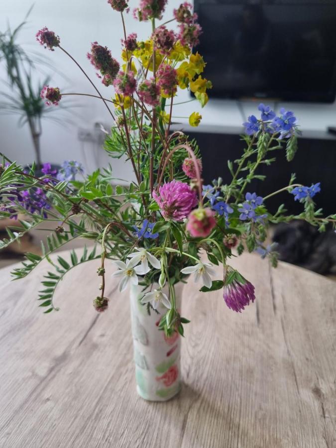 Apartman Nana Divcibare Bagian luar foto