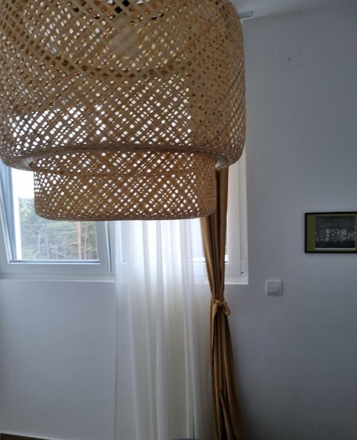 Apartman Nana Divcibare Bagian luar foto