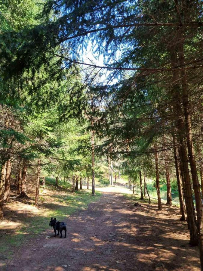 Apartman Nana Divcibare Bagian luar foto